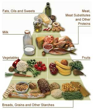 What are good sources of protein?