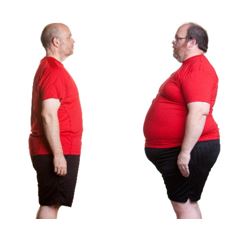 obesity and homeostasis