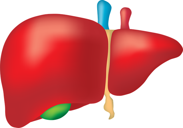 healthy cholesterol