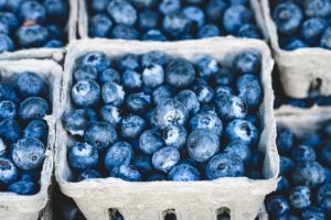Blueberries are a nutritious diet food